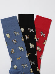 PAUL SMITH 靴下 マルチカラー Fall/Winter 2025/2026